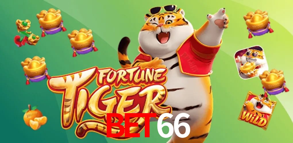 Statistics bet66